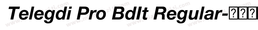  Telegdi Pro BdIt Regular字体转换